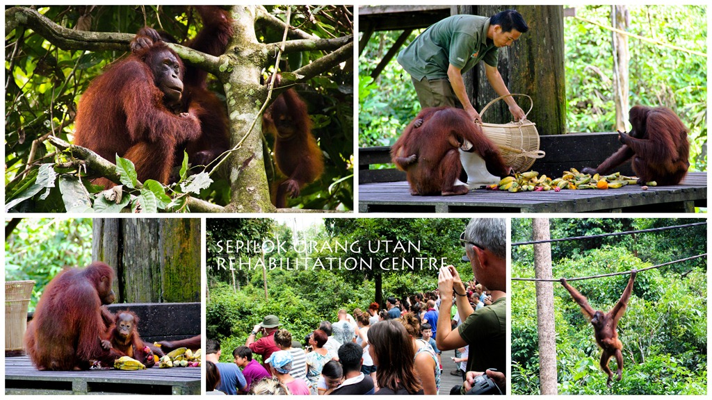 [sabah3%255B3%255D.jpg]