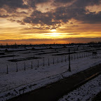 sunset at auschwitz.jpg