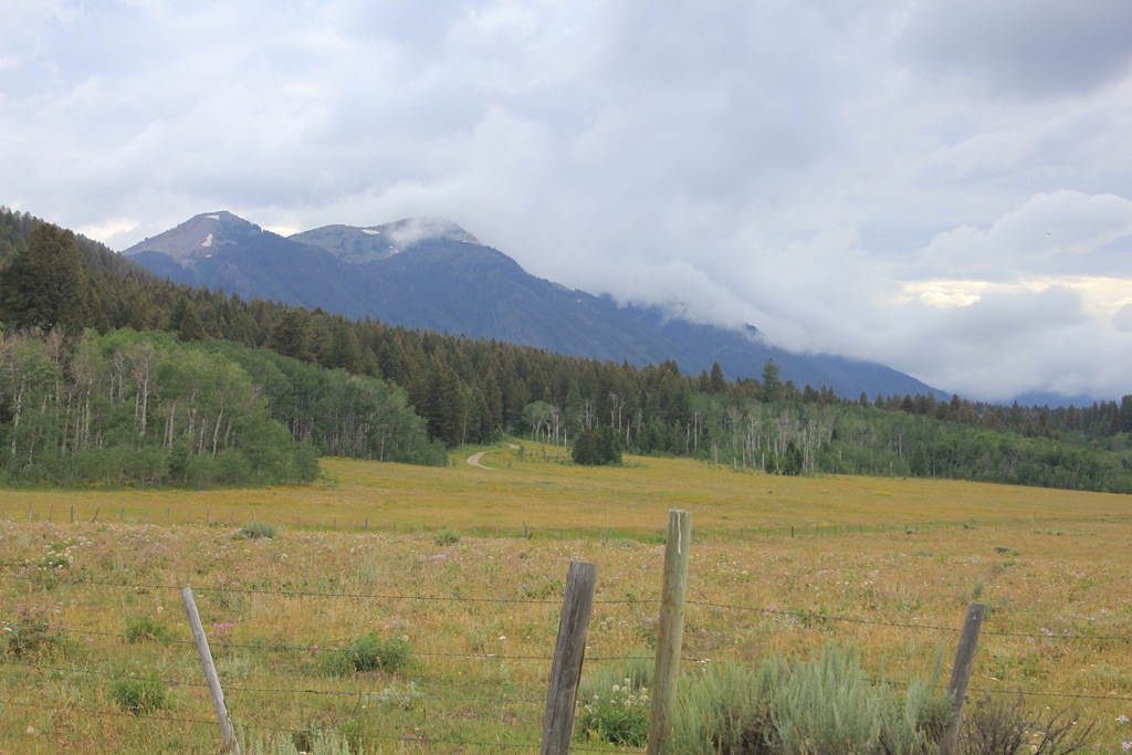 [IMG_1522%255B4%255D.jpg]