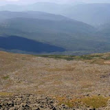 washington pan02.jpg