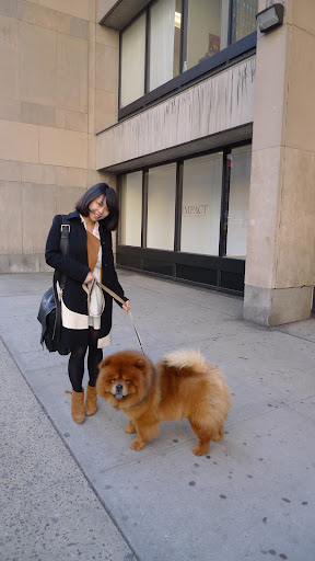 I feel like I complement this young lady's outfit well, don't you?  So fashionable!  After all, she's a student at the Fashion Institute of Technology!