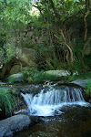 Sao Joao, Portugal 291.JPG