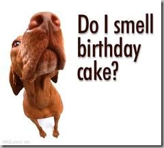 birthday birthday
