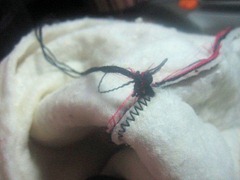 IMG_0462 IMG_0462