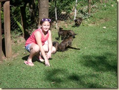 IMG_0429 IMG_0429