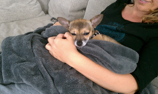 Jane's cousin Leigh had recently fallen in love with my Minnow and was now eager to meet Gus.