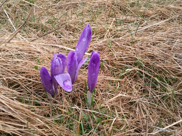 Photo0032.jpg