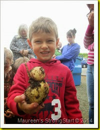 IMG_4520 IMG_4520