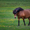 iceland-2012-5221-%2520edit%2520--%2520NR%2520-001.jpg