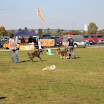 IMG_3111.JPG