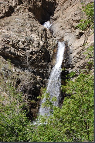 DSC_0873 DSC_0873