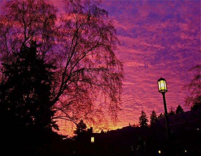 Sunset over the Quad