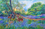 Mary McNeeley "Bluebonnet Royalty" Oil