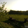dsc02985.jpg