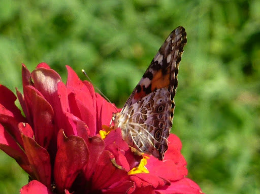 P1120437