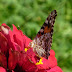 P1120437