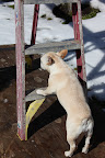 Now its time to climb the ladder.
