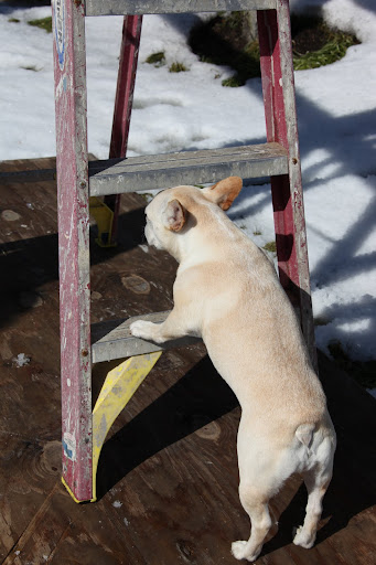 Now its time to climb the ladder.