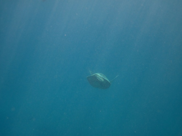[IMG_3507%255B3%255D.jpg]