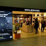 moleskine, strange name for a store in Milan, Italy 