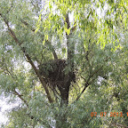 DSCN9674.JPG