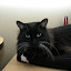 DSCN1114.jpg