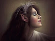 Dream Of Elven Princess