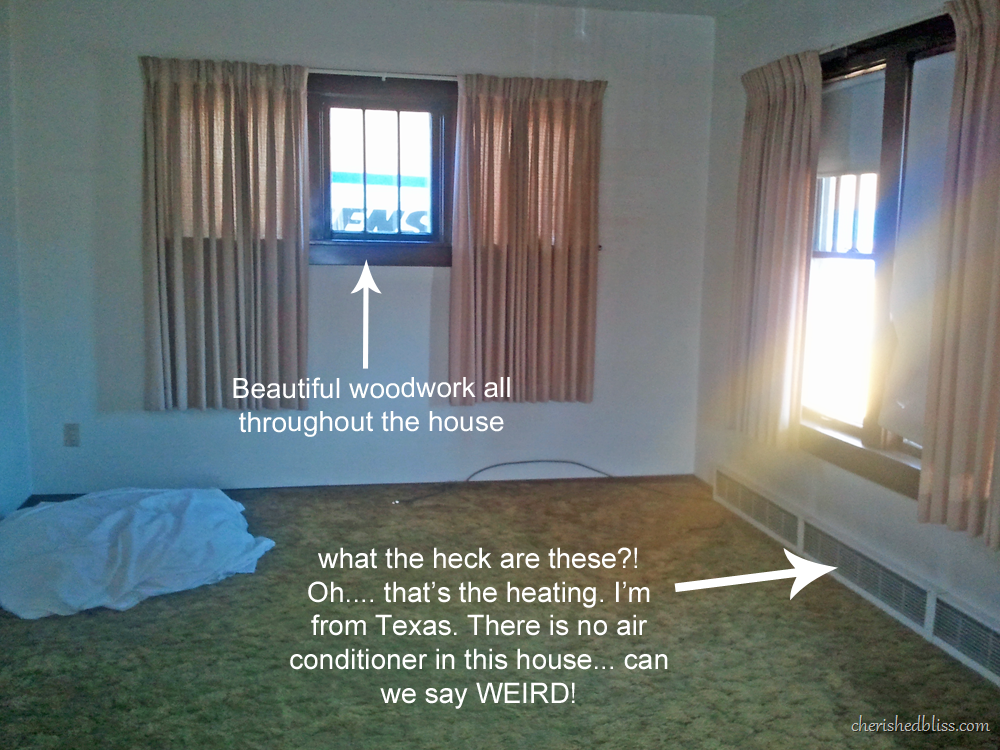 [Living-Room4.png]