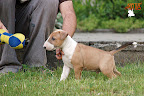 Karmacoma Suntoucher 7 weeks