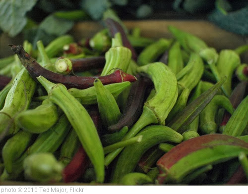 Okra: Polong Hijau dengan Kandungan Nutrisi yang Tinggi