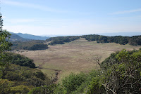 DSC_0781.JPG Photo