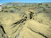 IMG_8769.JPG Photo
