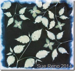 Kousa Dogwood, a work in progress by Sue Reno, Image 8