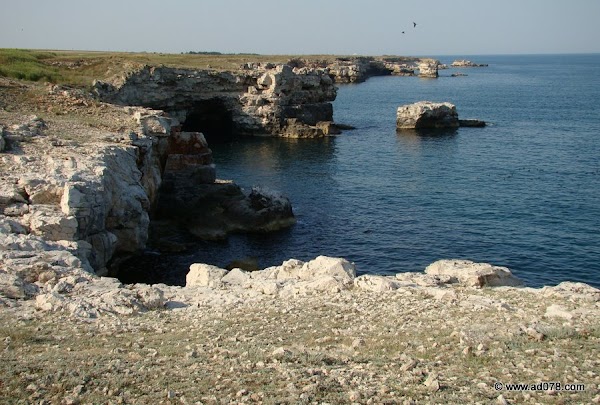 109.jpg