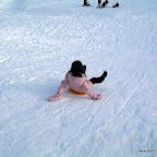 SDC10189.JPG