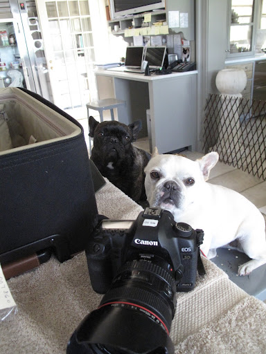 And what would she do if she forgot her Canon 5D camera! She absolutely needs it to take photos for the blog, the magazine, and for TV!