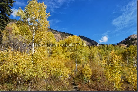 DSC_0668 DSC_0668