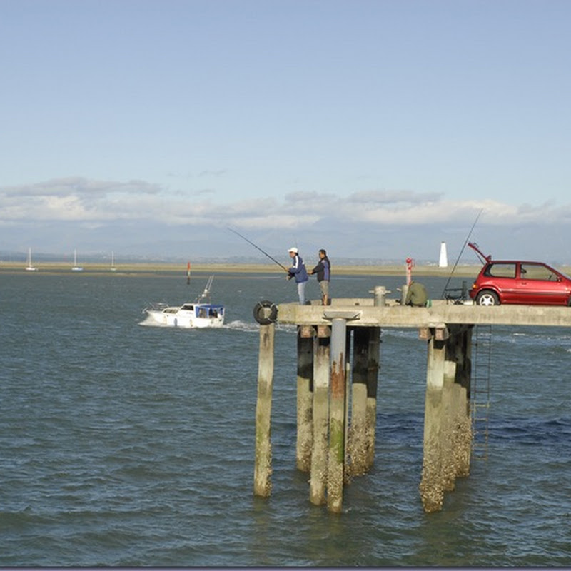 Whether it’s off the pier…..