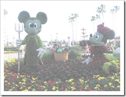 Florida vacation Epcot topiary Mickey and minnie