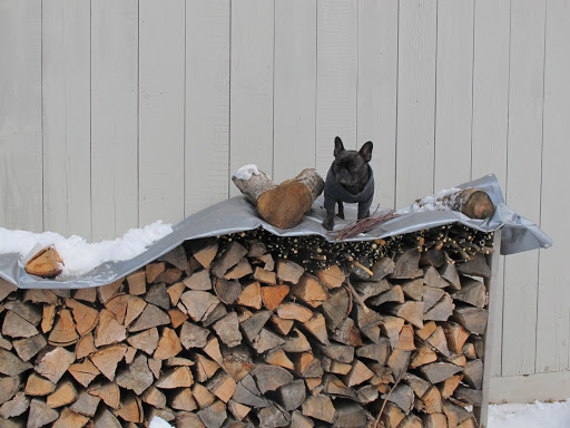 However, there is just one problem - how am I going to get it under the tarp to protect the kindling from the elements?