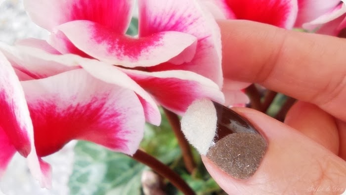 fluffy velvet nail art pupa -26 fluffy velvet nail art pupa -26
