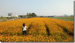 IMG_1162 IMG_1162