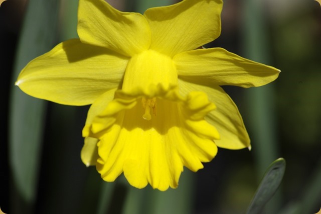 Spring is in the air Spring is in the air