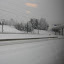 IMG_0331.JPG