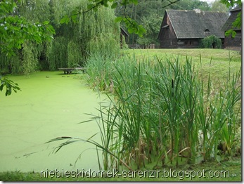 IMG_2656 IMG_2656