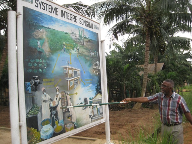 [Benin%2520012%255B3%255D.jpg]