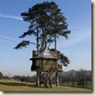 tree house