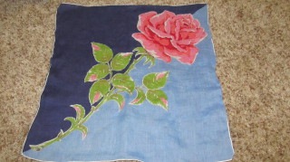 [hankie%255B4%255D.jpg]