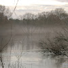 dsc07398.jpg