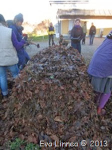 IMG_8335 IMG_8335